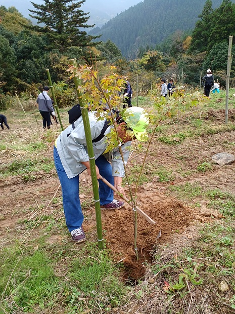 鯛生スポーツセンター裏山での植樹活動