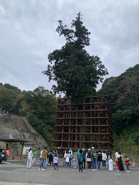 吉野ヶ里の自然・歴史の学習